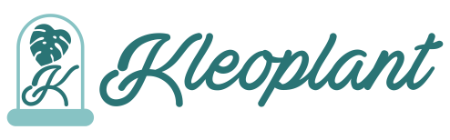 Kleoplant - Plantas y decoración.